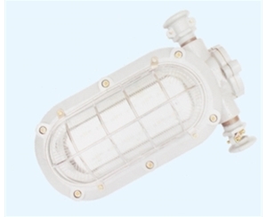 杭州矿用隔爆型LED支架灯